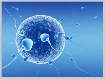 in vitro fertilization treatment India, low cost in vitro fertilization treatment India, in vitro fertilization treatment India advantages India